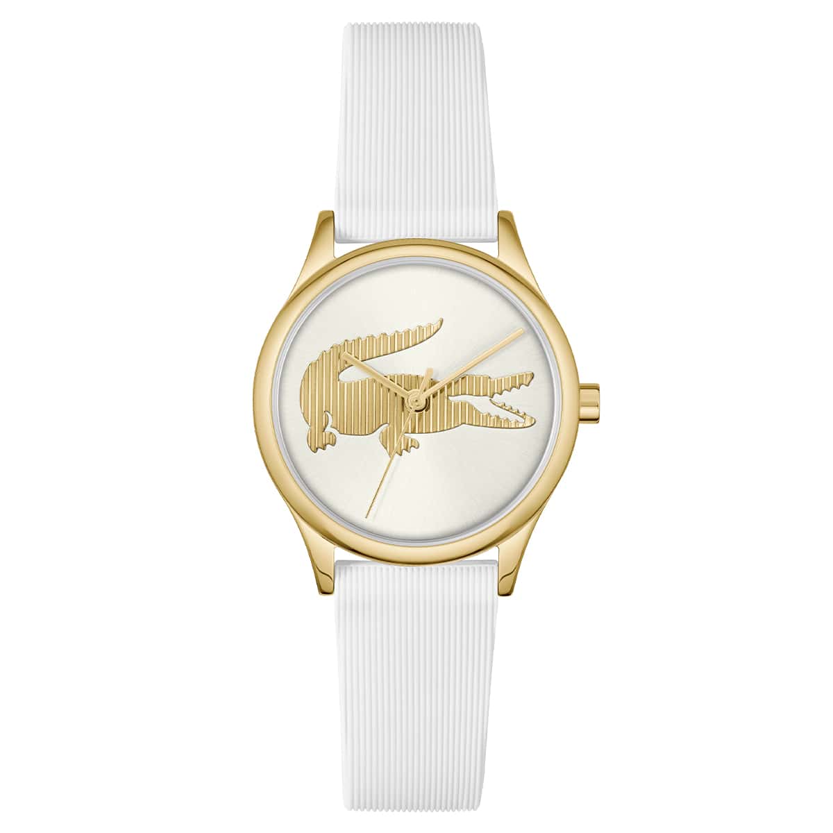 LACOSTE, CROCODELLE (2)