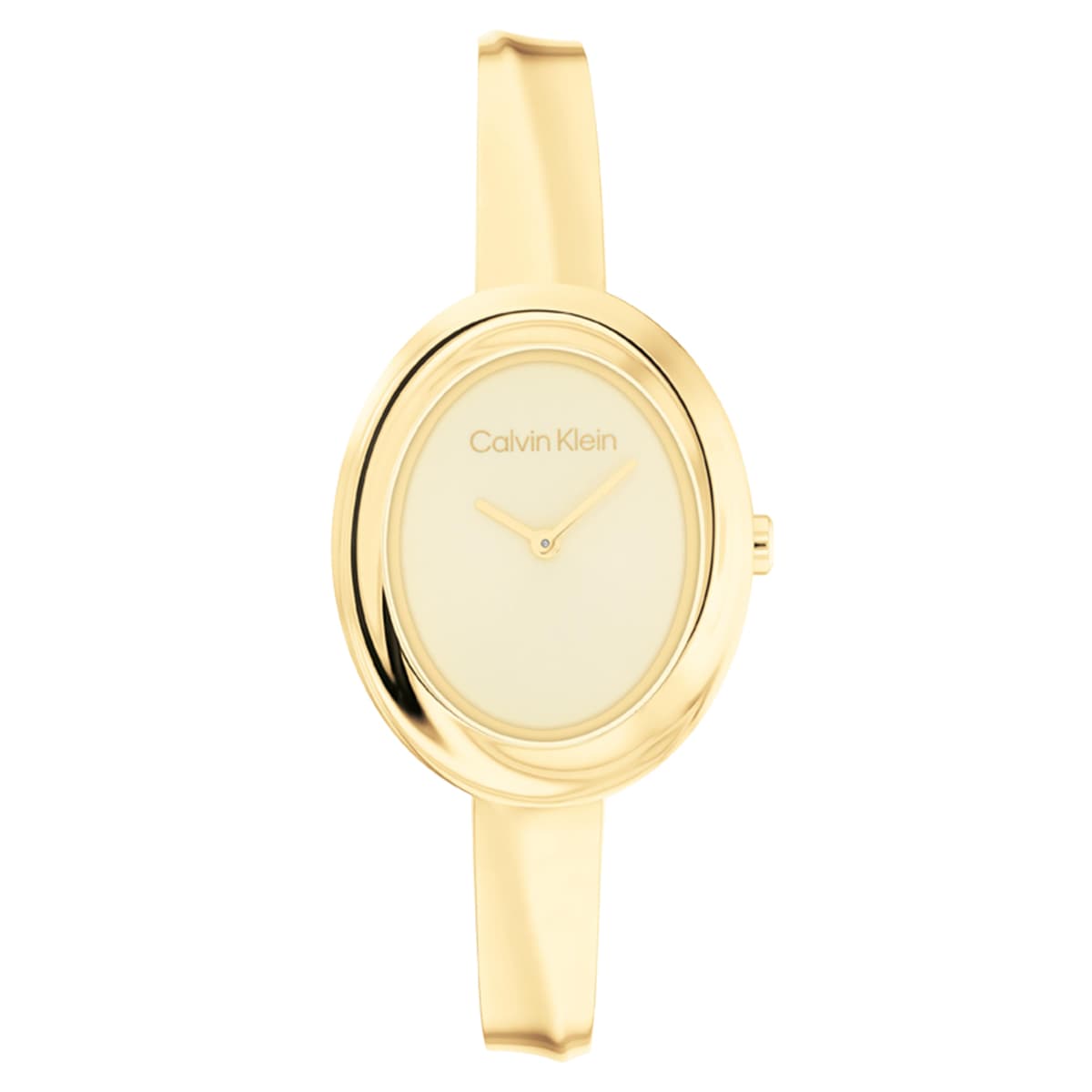 Calvin Klein, Twisted Bezel (8)