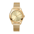 DKNY Astoria Logo (DK1L032M0025)