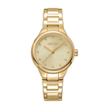 DKNY Everyday (DK1L110M0055)