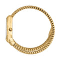 JUST CAVALLI, FIAMMA (JC1L426M0025)