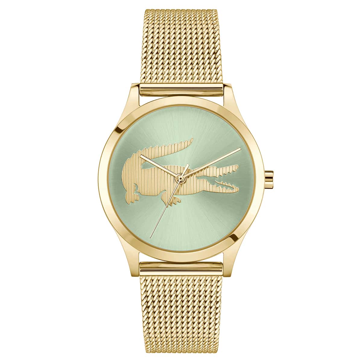 LACOSTE, CROCODELLE (1)